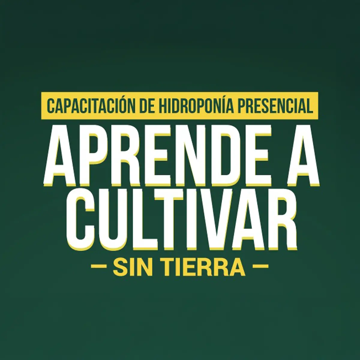 Capacitación: Aprende a Cultivar Sin Tierra